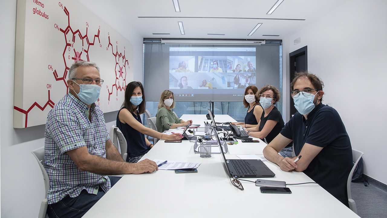 Navarra participa en una red europea para mejorar la asistencia médica de urgencias y catástrofes en Pirineos